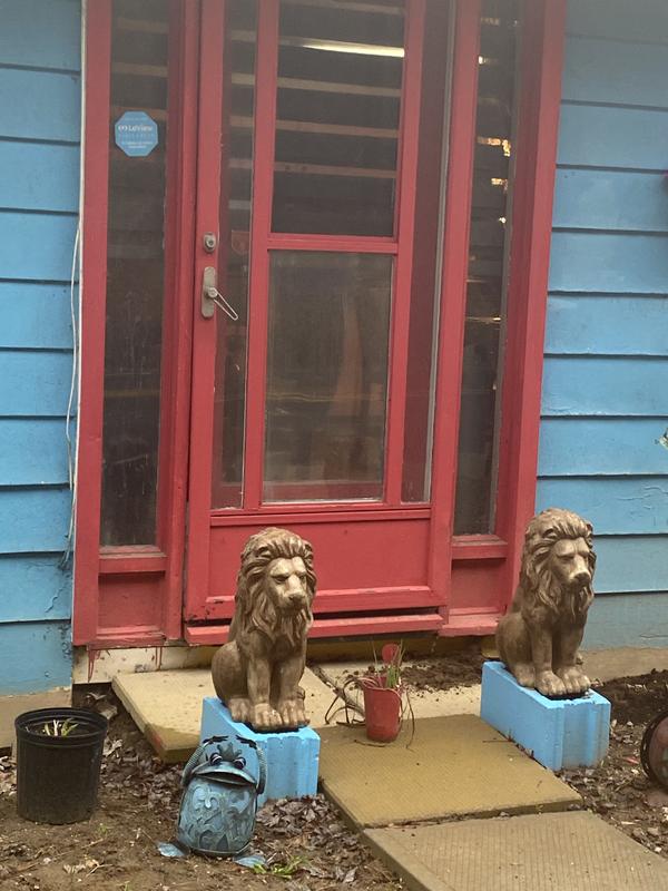 Photo - commentaire&nbsp;1.