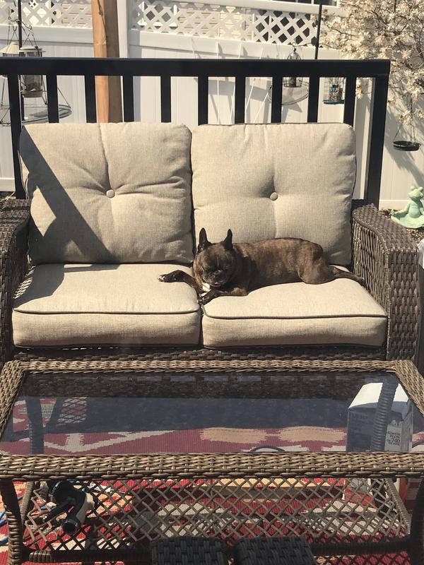 Dog loves the set...