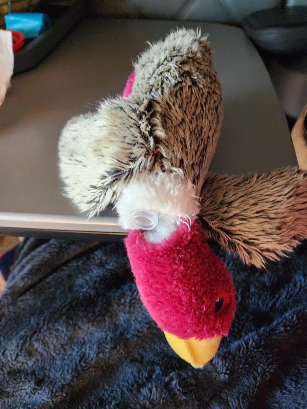 Photo - commentaire&nbsp;4.