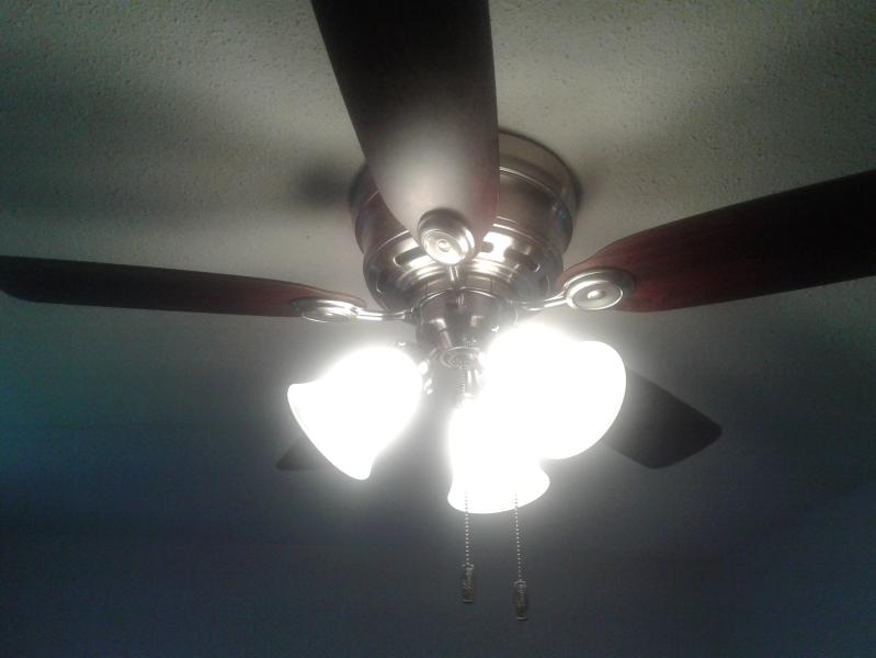 Photo - commentaire 7.