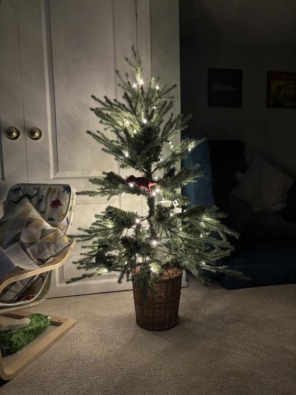 Photo - commentaire 2.