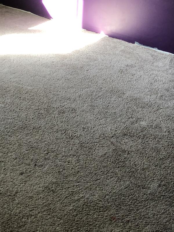Carpet very clean but impossible stains not