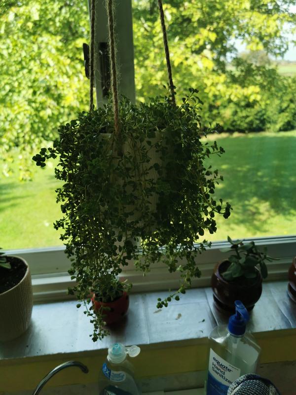 Photo - commentaire 5.