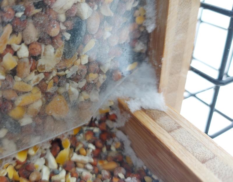 Another missing chunk