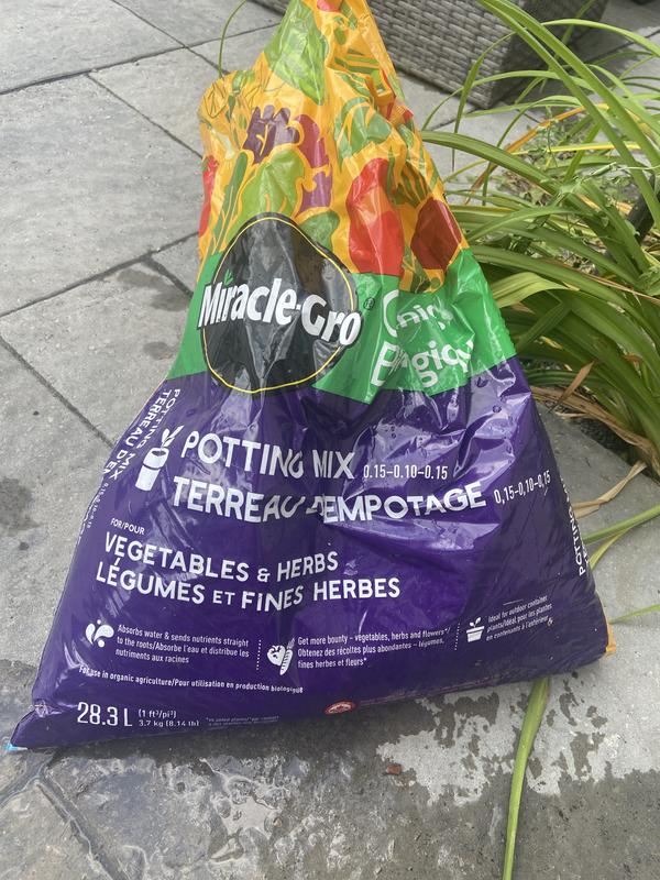 The bag I moved outside