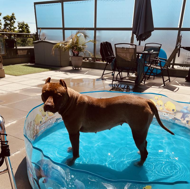 Perfect to keep her cool