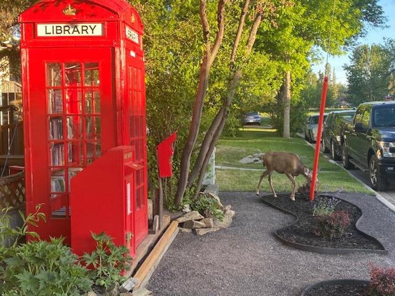 Photo - commentaire 8.