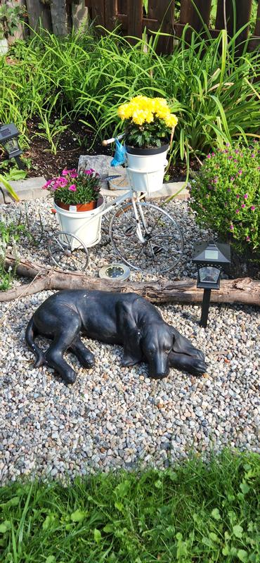 Photo - commentaire 5.