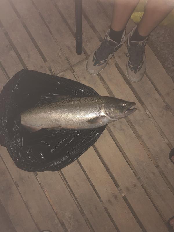 Photo - commentaire&nbsp;4.