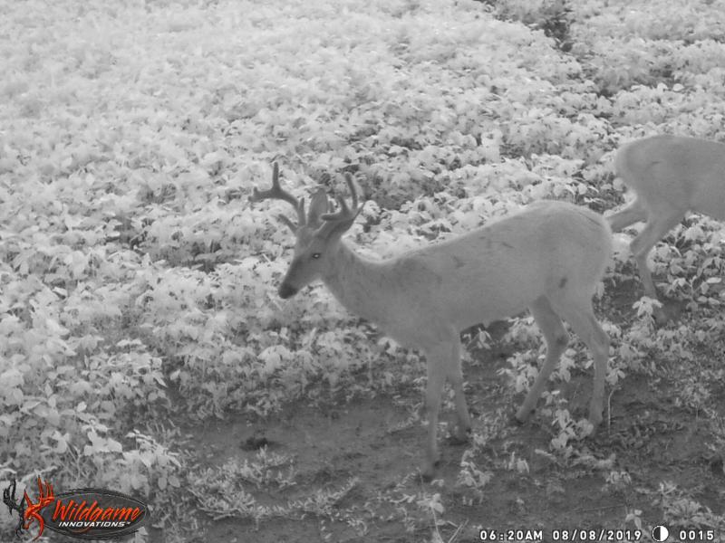 That bare spot is where the mineral was deposited