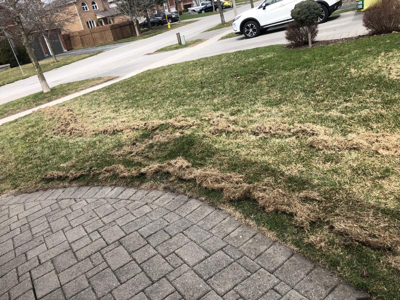 Photo - commentaire 5.