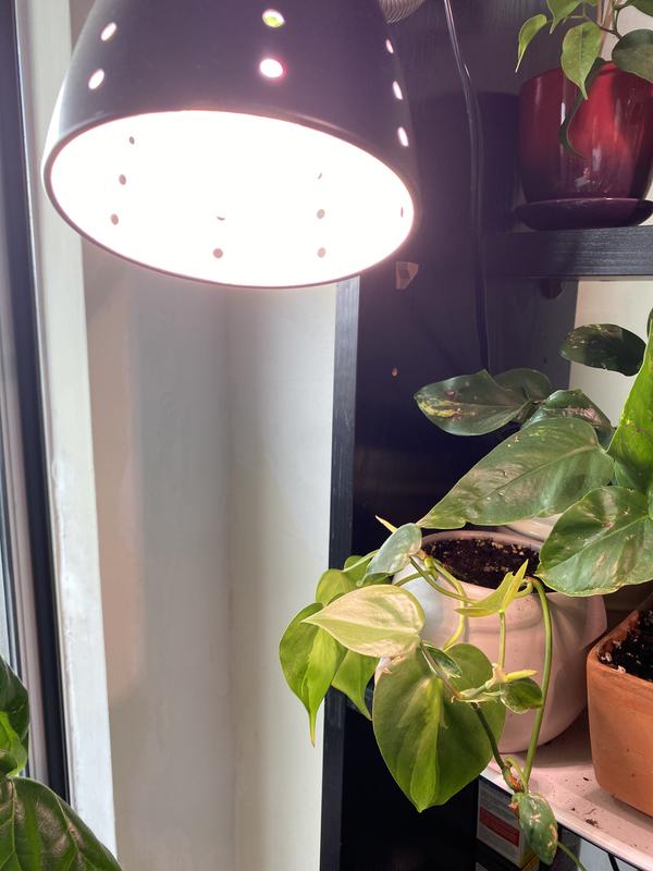 Full Spectrum Light Bulbs Canadian Tire Shelly Lighting