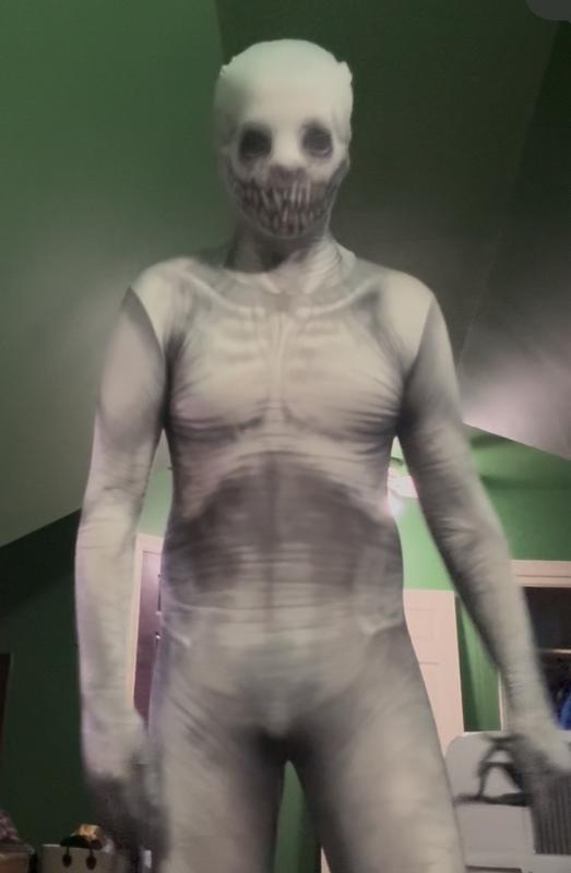 the suit in question