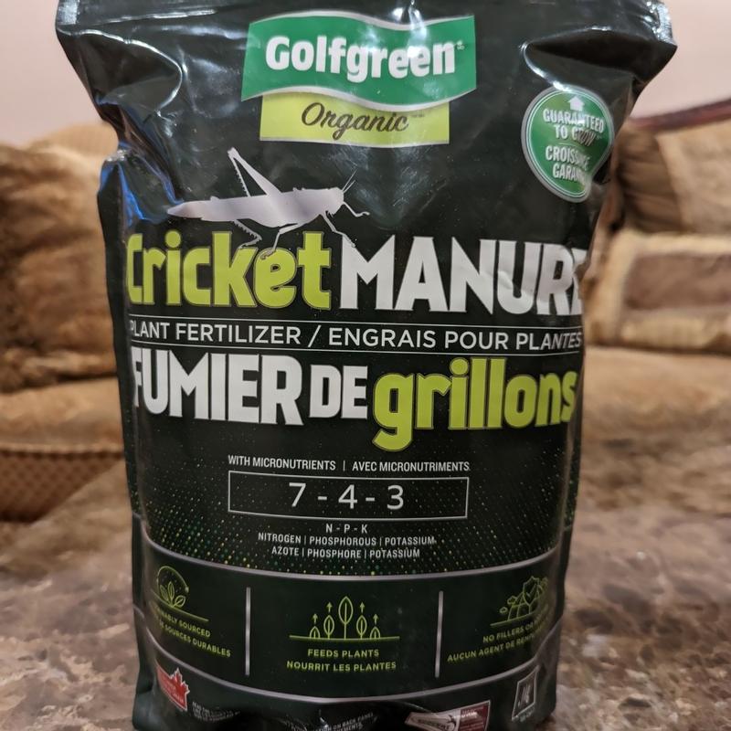 Photo - commentaire 5.