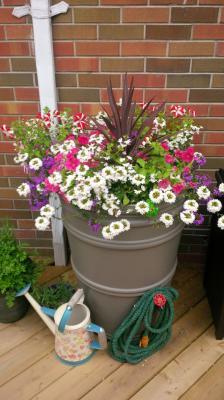 Our barrel on August 1st, 2014