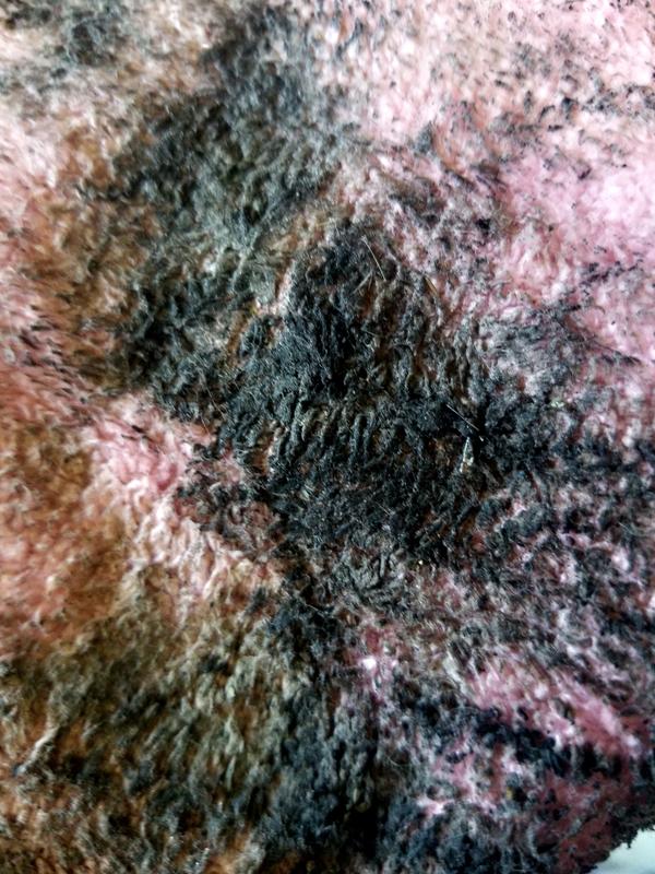 Black Mold