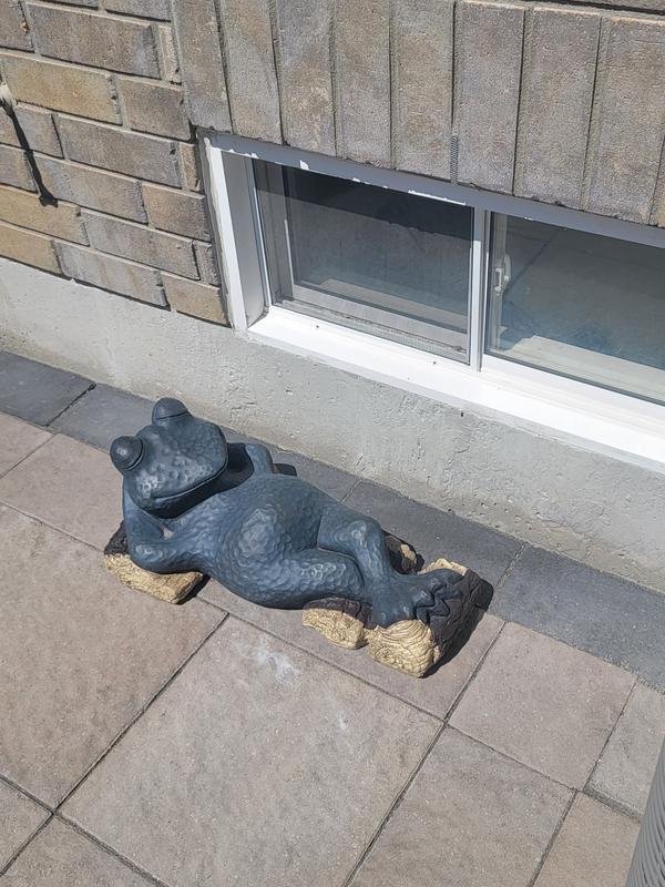 Photo - commentaire&nbsp;2.