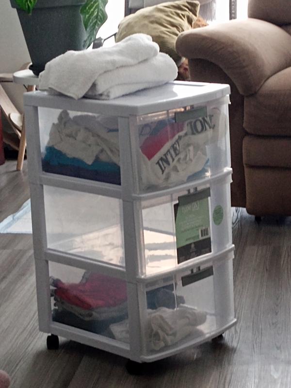 Photo - commentaire 2.