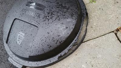 Lid destroyed by squirrels within two weeks cannot be replaced
