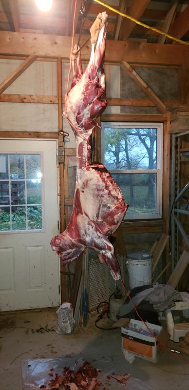 One knife, never sharpened  once.