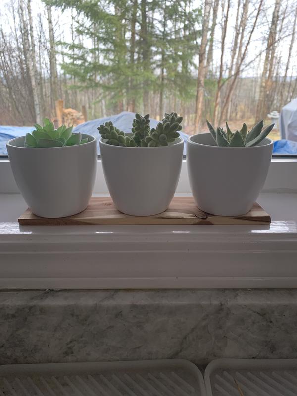 Photo - commentaire&nbsp;1.