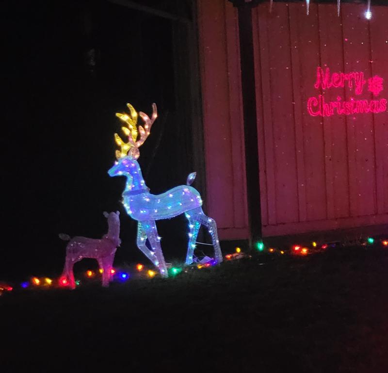 Photo - commentaire 1.