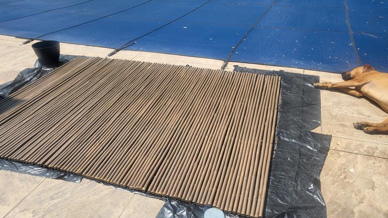 Photo - commentaire 7.