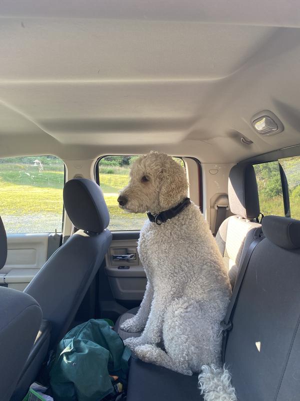 Waiting to go to Canadian Tire for food