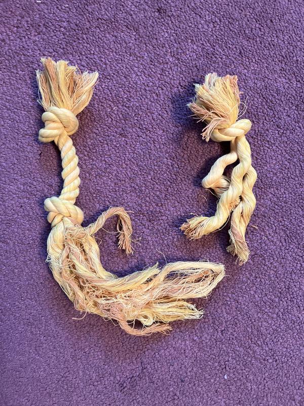 Photo - commentaire&nbsp;1.