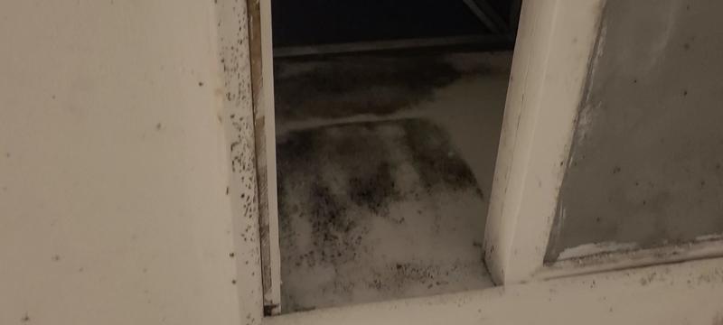 Photo - commentaire&nbsp;5.