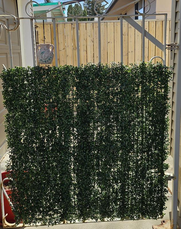 Photo - commentaire&nbsp;1.