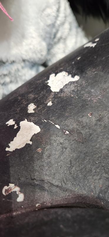 Photo - commentaire 4.