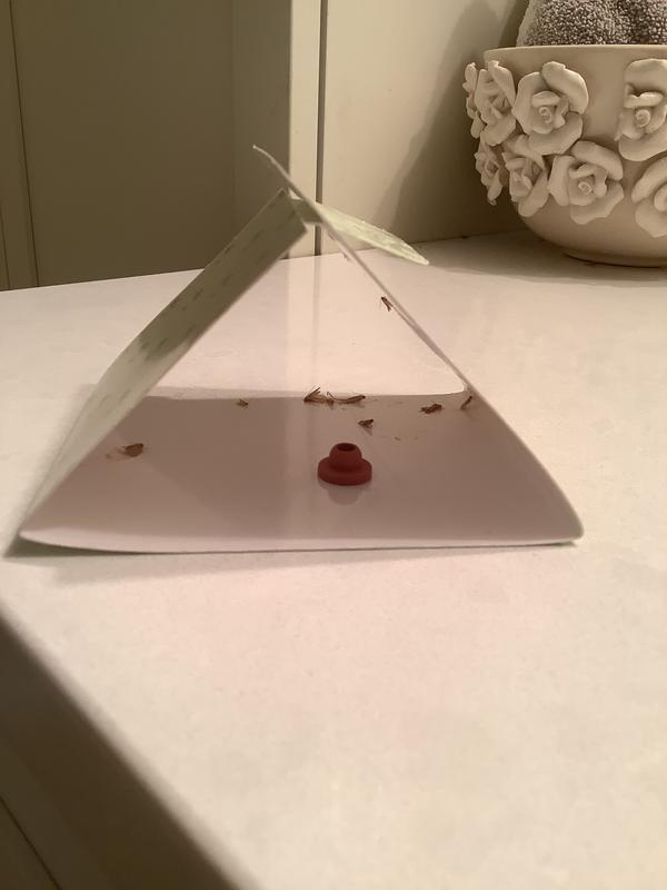 Photo - commentaire 1.