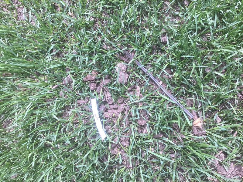 Wood chips, plastics, wire tie.