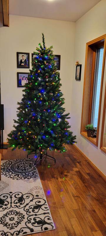 Photo - commentaire 1.