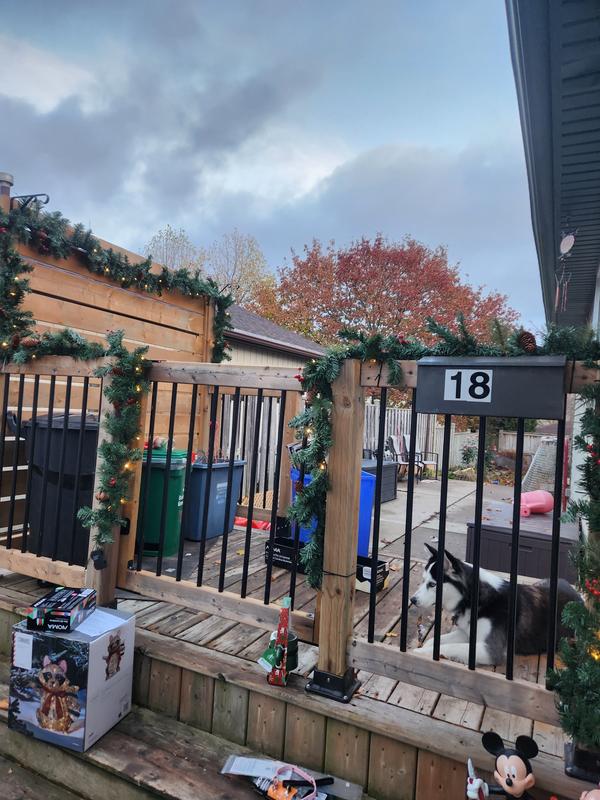 My new:garland around my deck