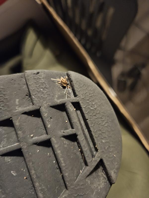 Photo - commentaire&nbsp;1.