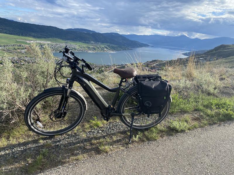 bike bag canadian tire