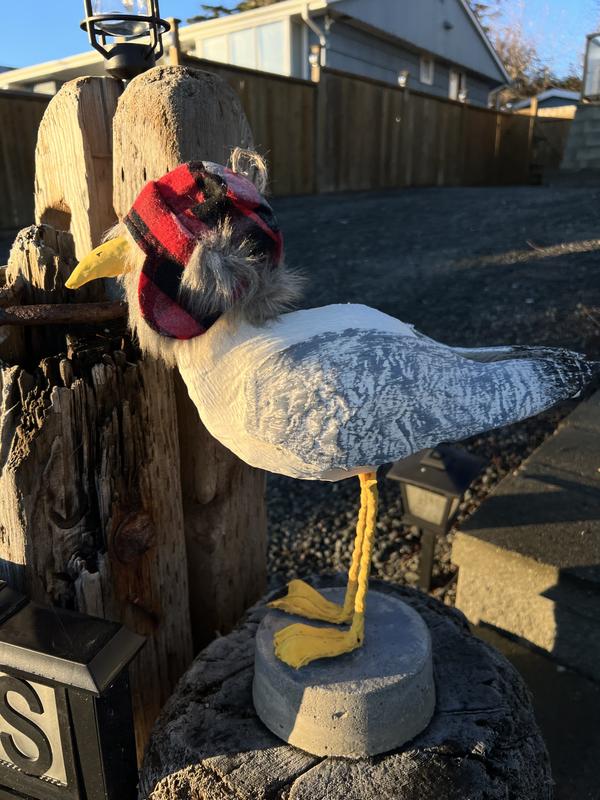 Photo - commentaire&nbsp;2.