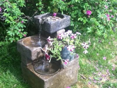 Decorated with Flower pot and pebbles (Not Included)