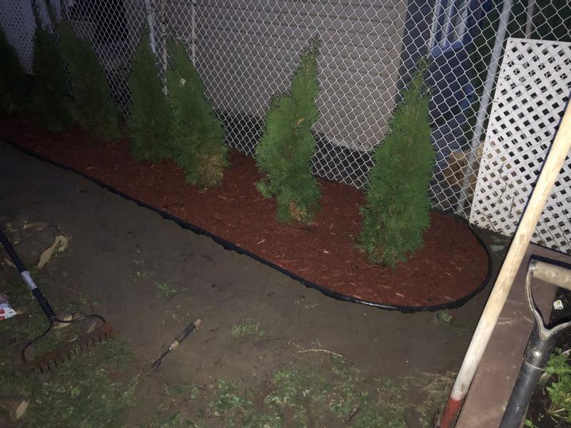 Photo - commentaire&nbsp;4.