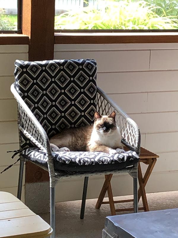 Photo - commentaire&nbsp;1.