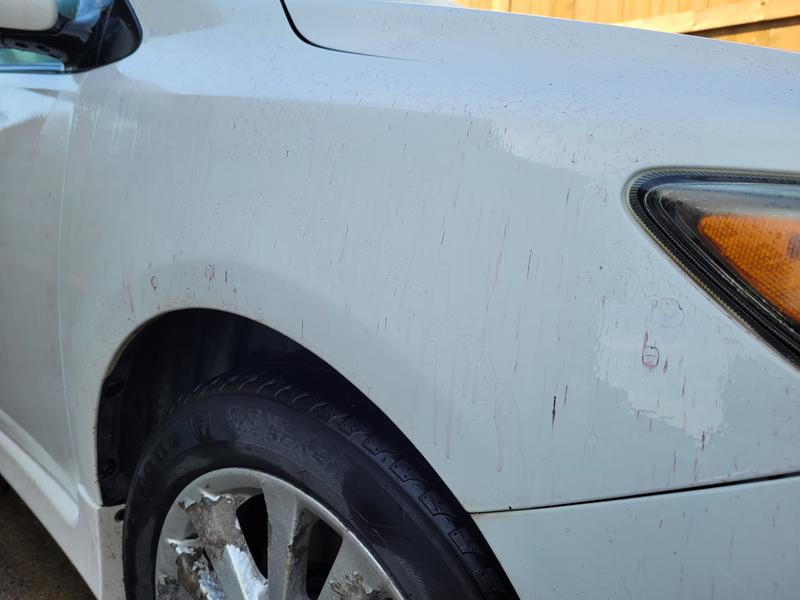 Photo - commentaire&nbsp;3.