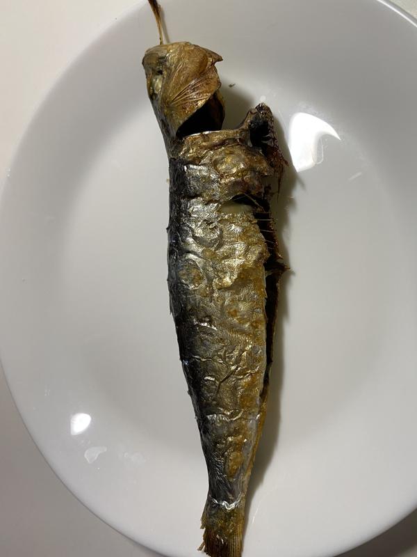 Grilled sardine