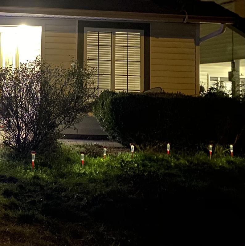 Photo - commentaire 1.