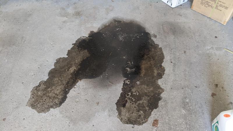 Less than 12 hours after using Blue Devil.