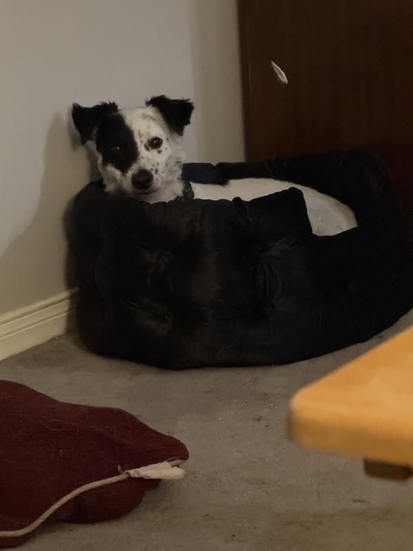 My new bed! Luv it!