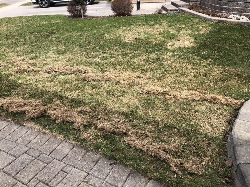 Photo - commentaire 4.