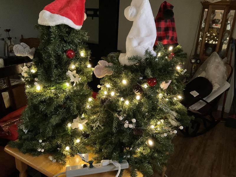 Photo - commentaire 4.