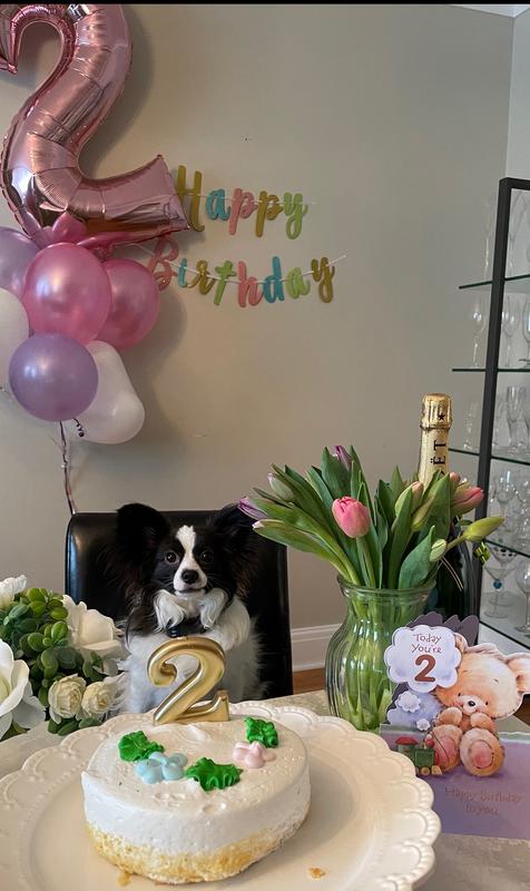 Doggie birthday